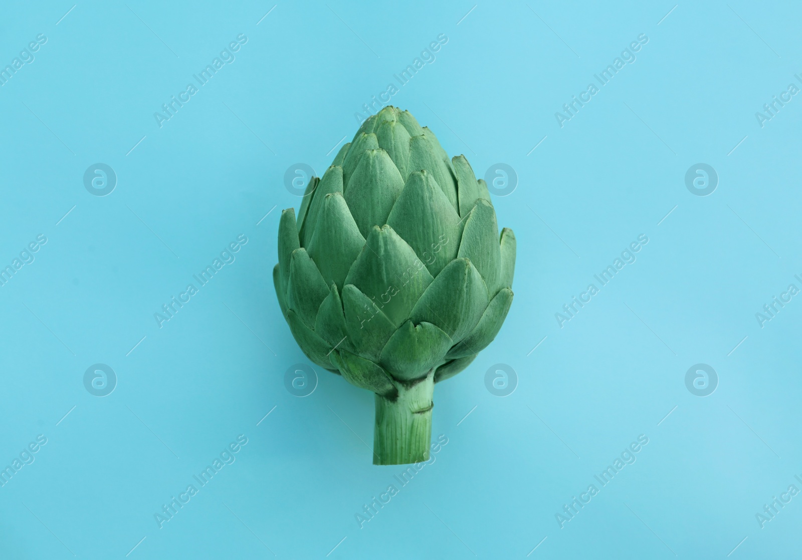 Photo of Whole fresh raw artichoke on light blue background, top view