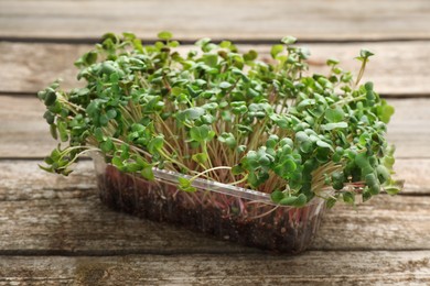 Photo of Fresh radish microgreens in plastic container on wooden table