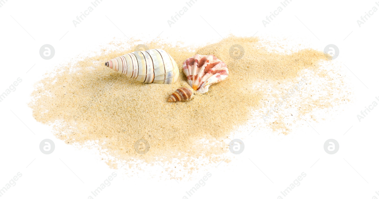 Photo of Beautiful sea shells and sand on white background