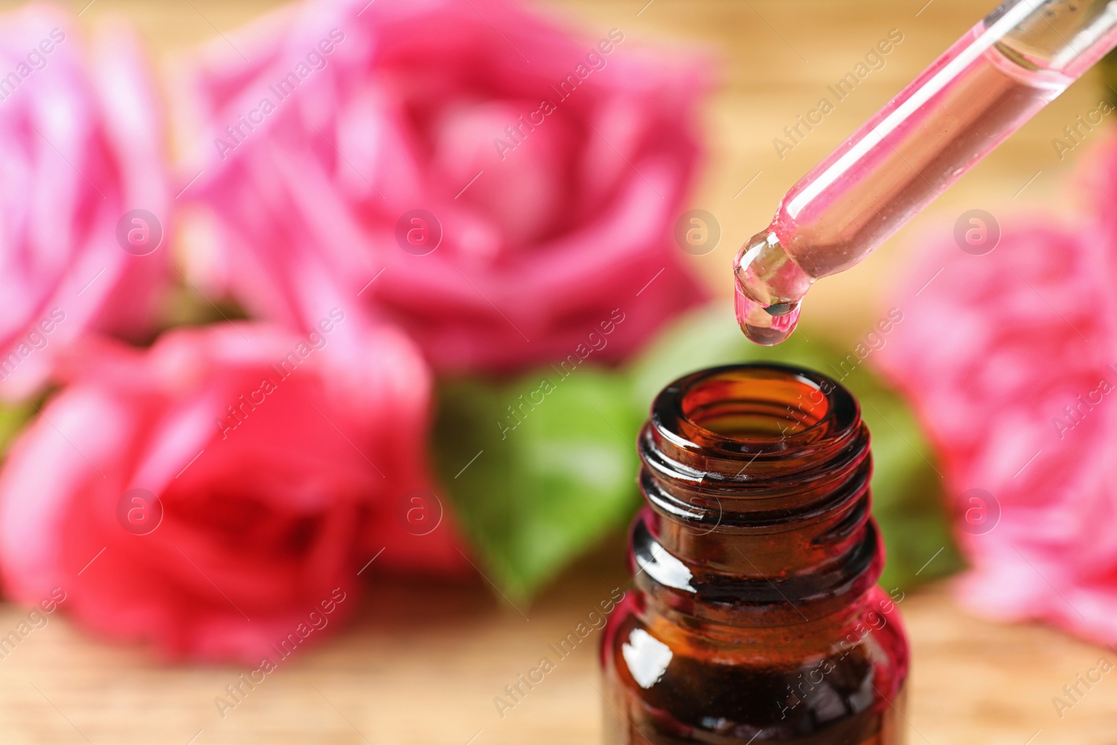 Photo of Dripping rose essential oil into bottle against blurred background, space for text