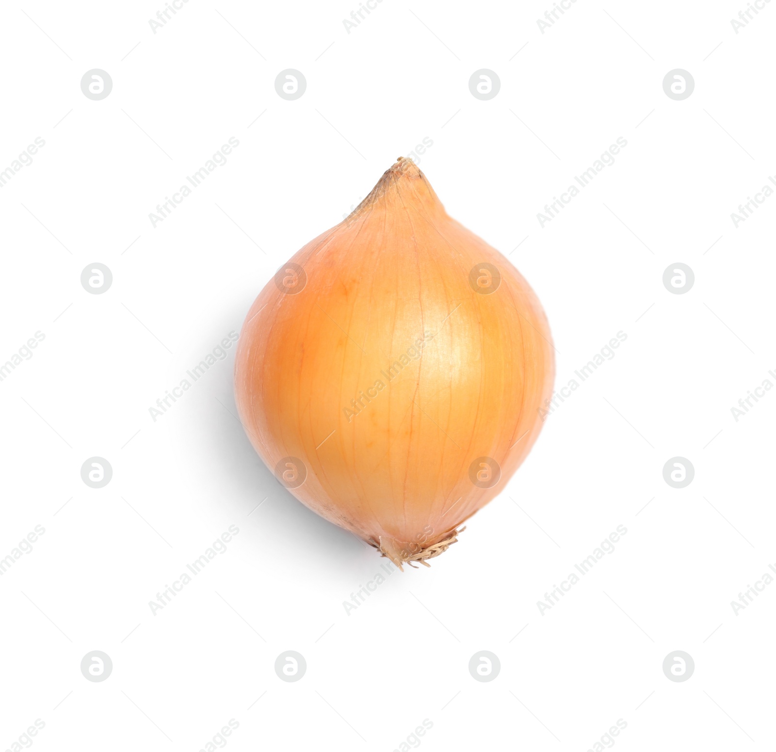 Photo of Fresh ripe onion bulb on white background