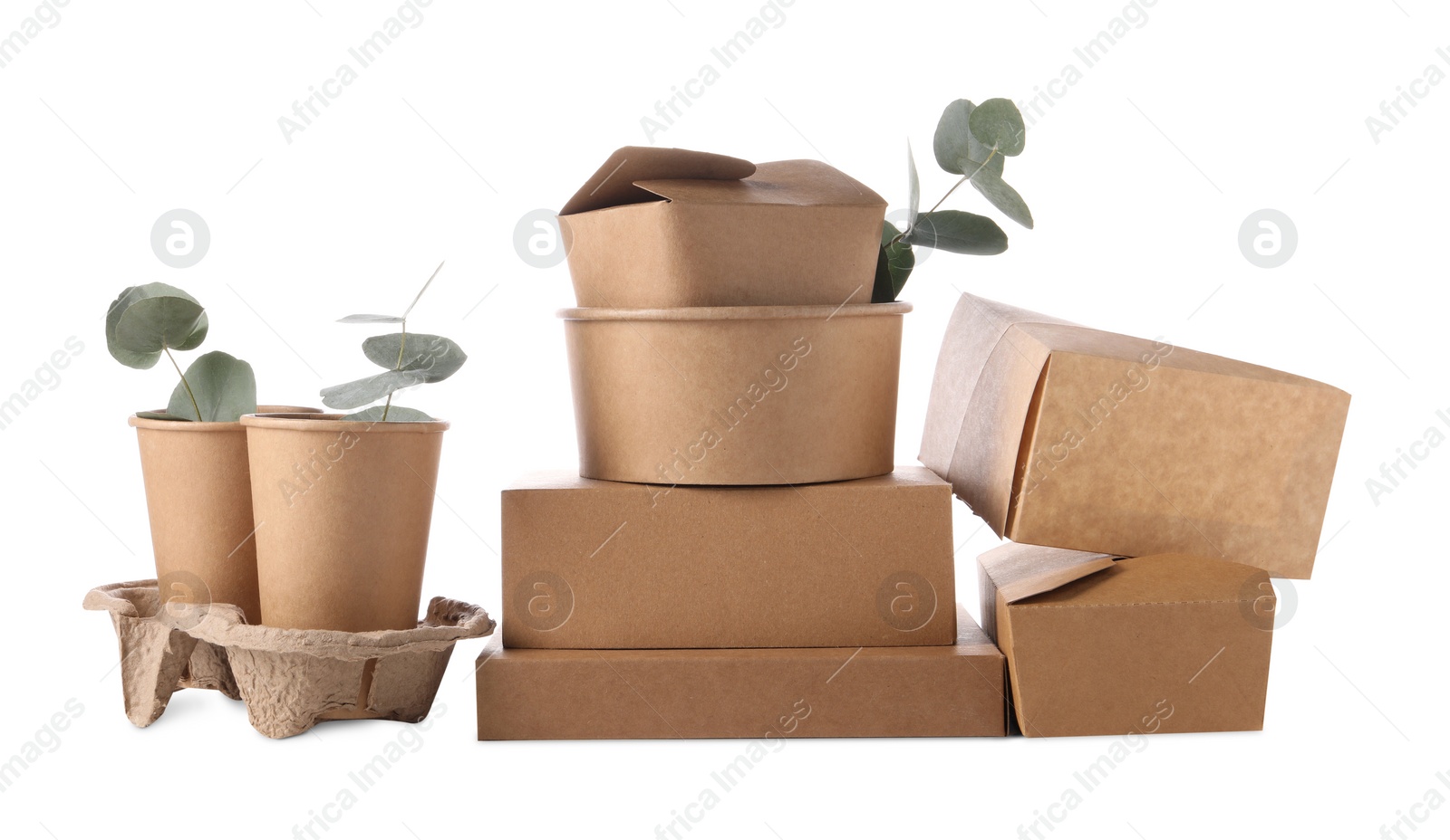 Photo of Eco friendly food packagings and eucalyptus leaves isolated on white