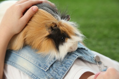 Little child with guinea pig outdoors. Lovely pet