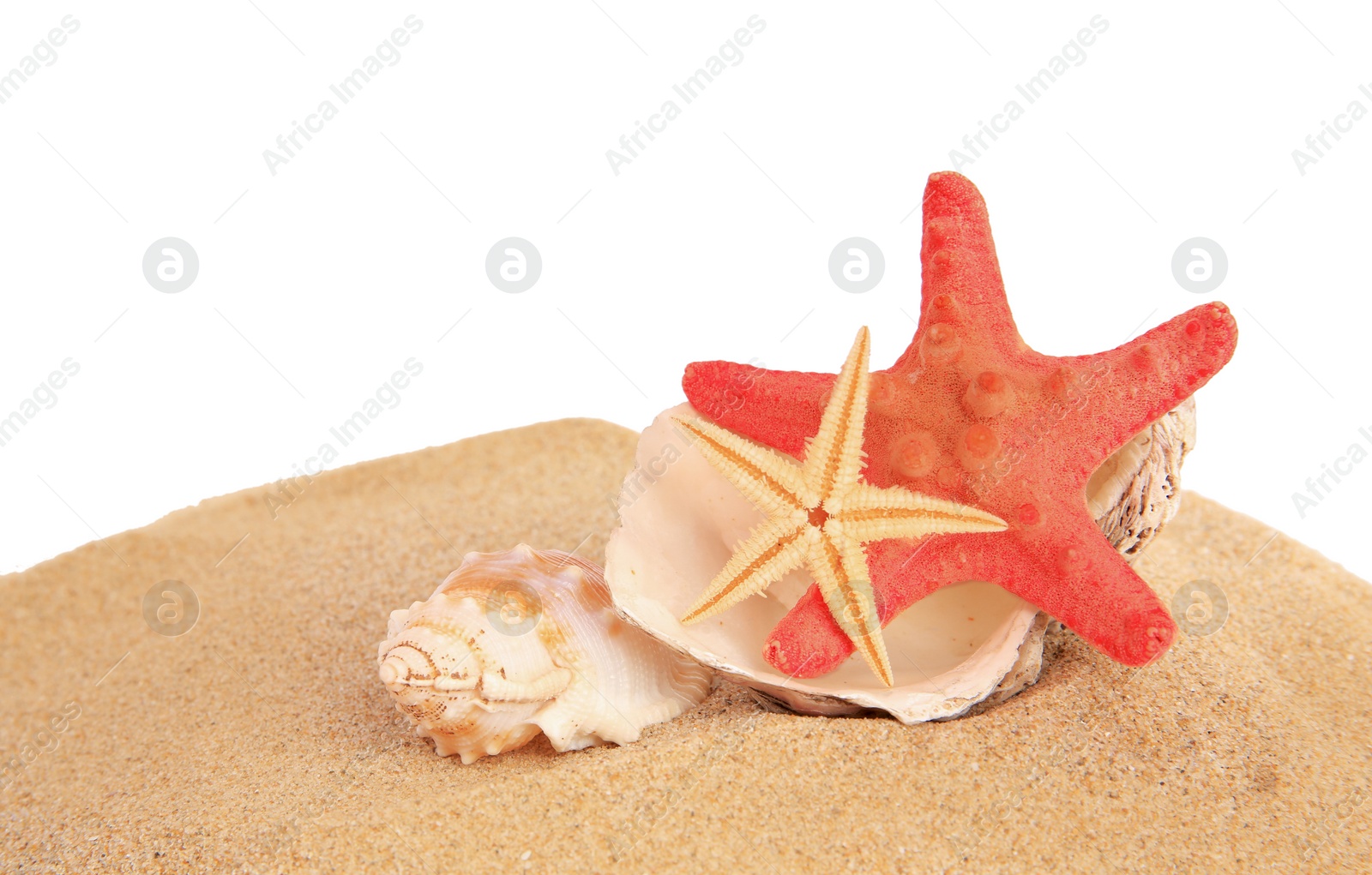 Photo of Sand with many beautiful sea stars and seashells isolated on white, space for text