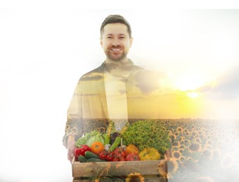 Double exposure of farmer and sunflower field on white background