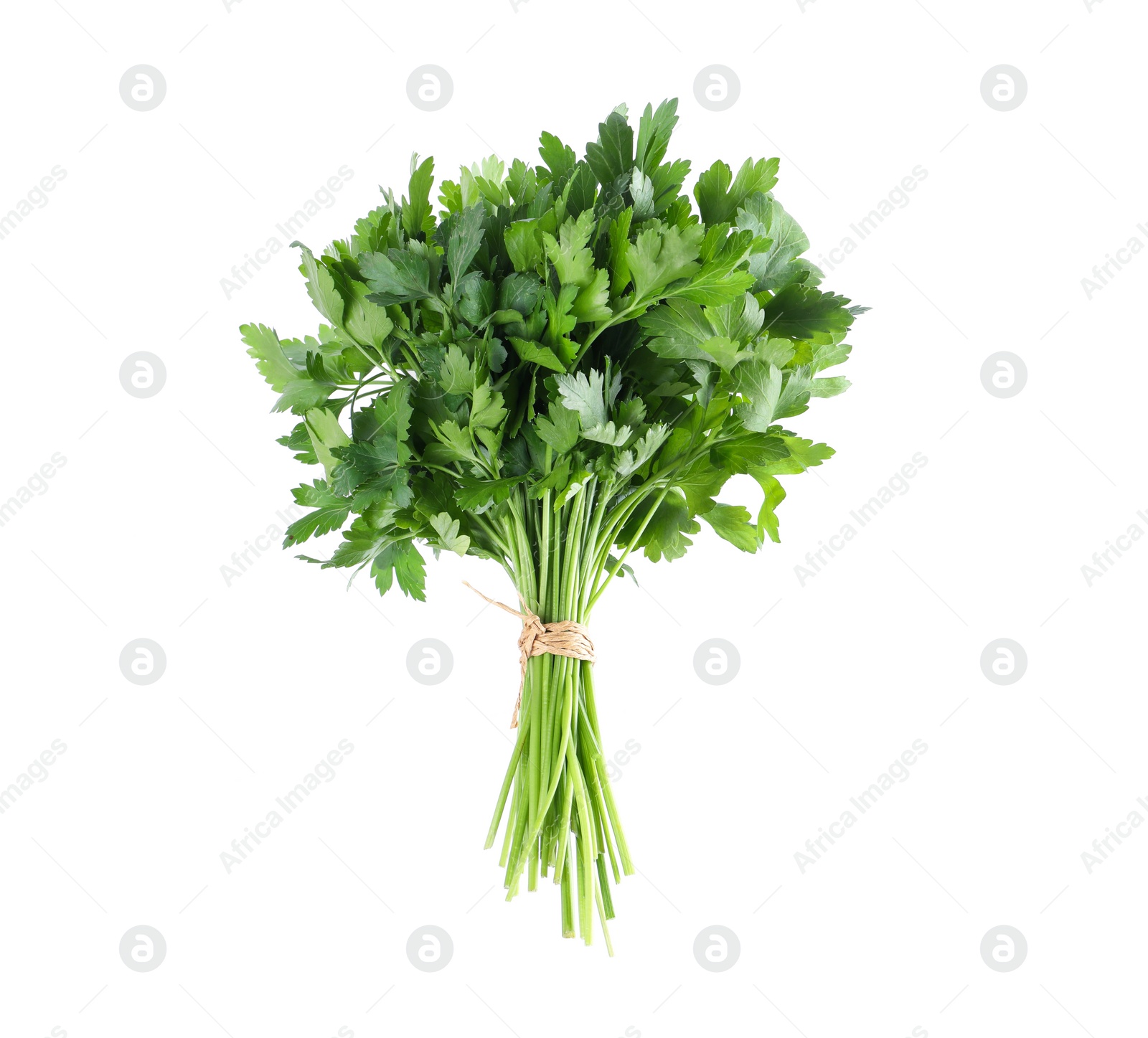 Photo of Bunch of fresh green parsley isolated on white