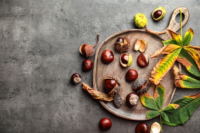 Photo of Horse chestnuts and leaves on grey table, flat lay. Space for text