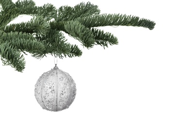 Photo of Fir tree branch with Christmas ball on white background