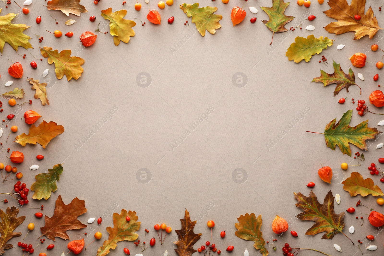 Photo of Frame of beautiful autumn leaves, physalis and berries on beige background, flat lay. Space for text