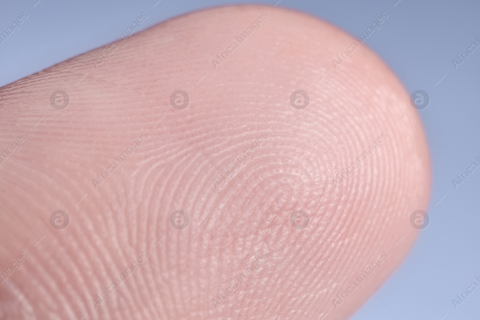 Photo of Finger with friction ridges on light blue background, macro view