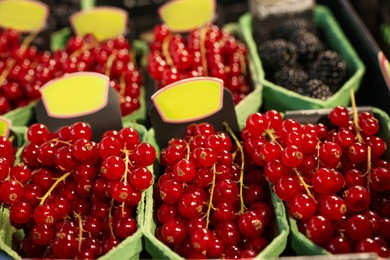 Photo of Many fresh red currants on cardboard containers at market, closeup