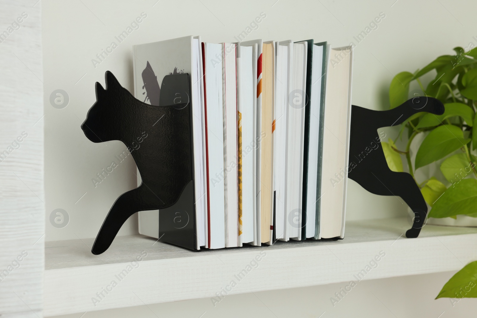 Photo of Decorative cat bookends with books and plant on shelf indoors