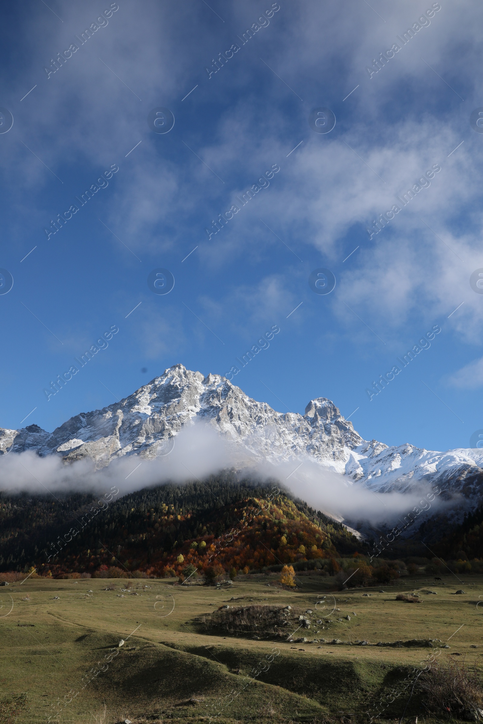 Photo of Picturesque view of high mountains with forest covered by mist and meadow under blue sky on autumn day