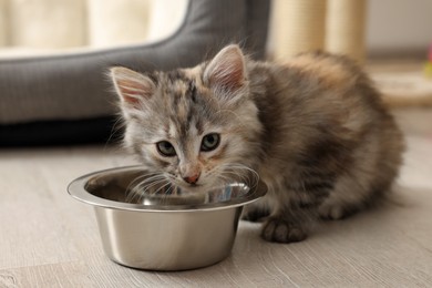 Photo of Cute fluffy kitten near feeding bowl at home