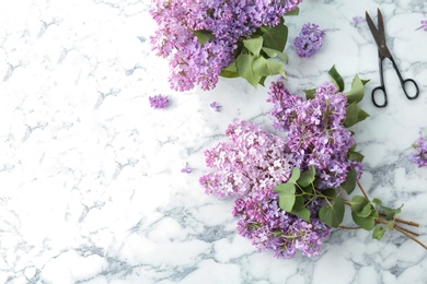 Photo of Beautiful blossoming lilac and scissors on light background, top view. Spring flowers