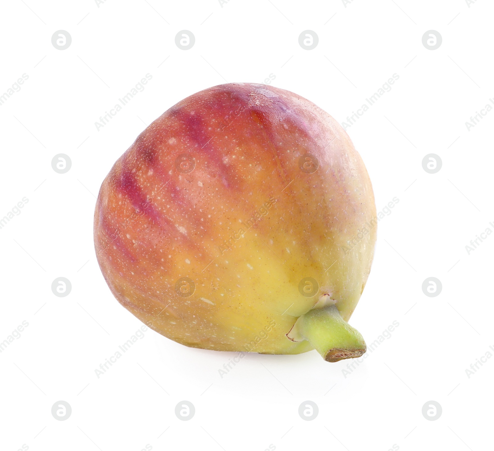 Photo of Whole tasty fresh fig isolated on white