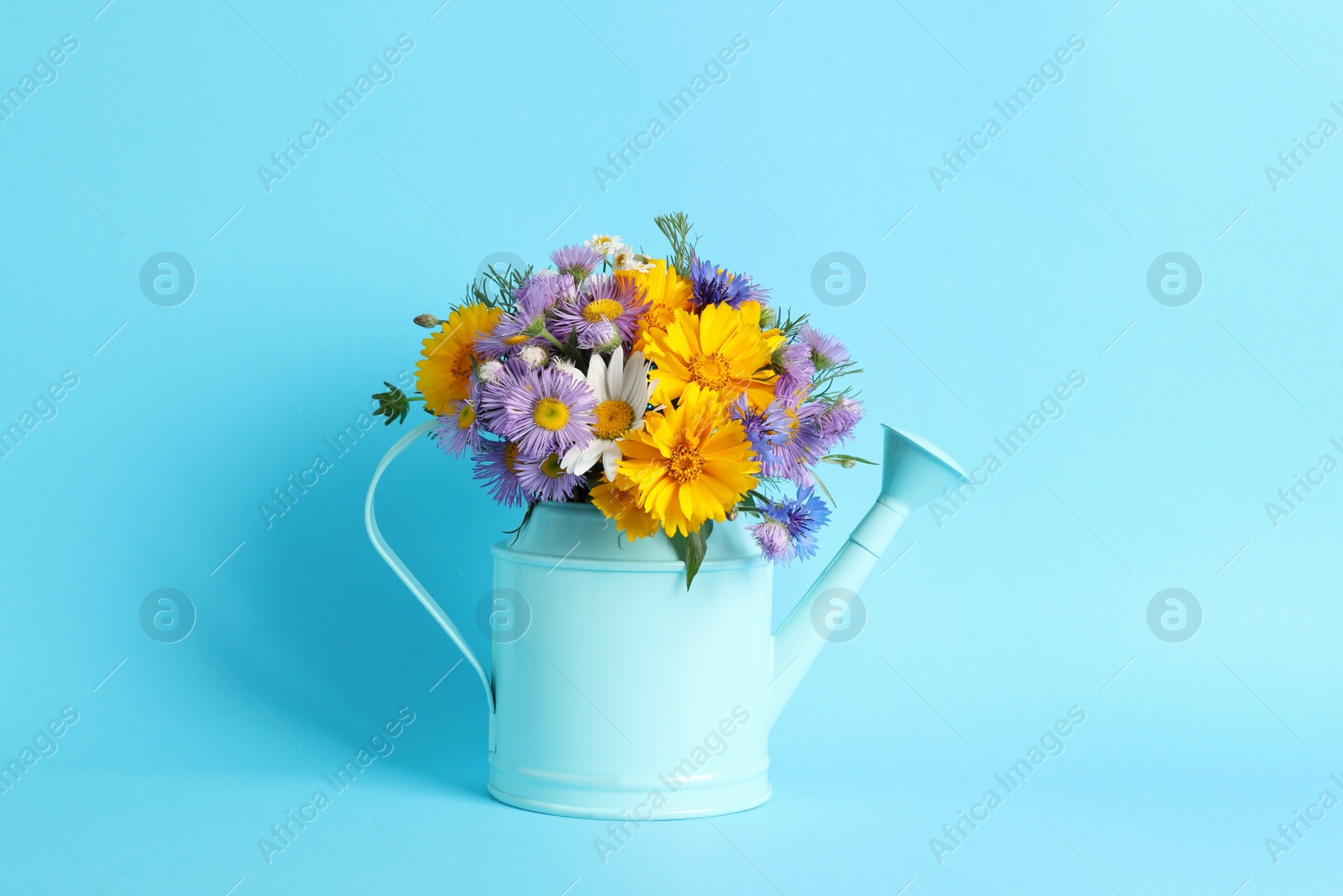 Photo of Watering can with beautiful flowers on light blue background