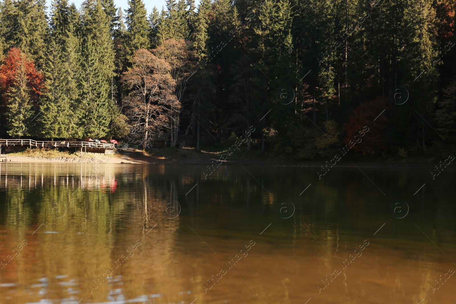 Photo of Beautiful mountain landscape with forest near water