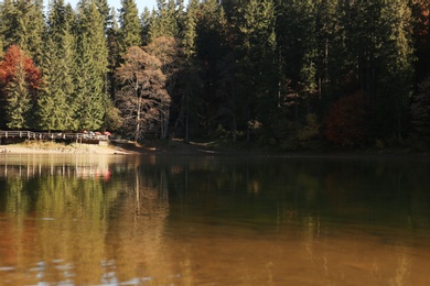 Photo of Beautiful mountain landscape with forest near water