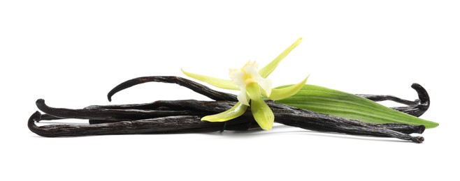 Photo of Vanilla pods, beautiful flower and green leaf isolated on white