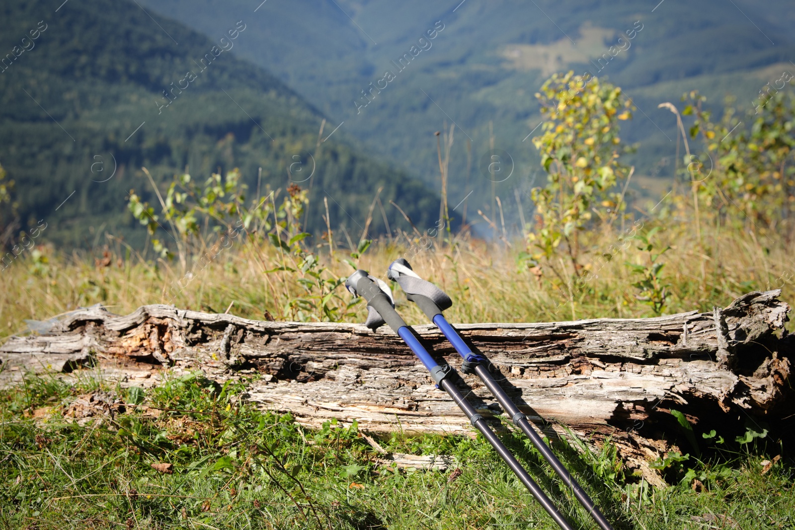 Photo of Pair of trekking poles on grassy hill in mountains