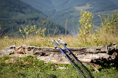 Pair of trekking poles on grassy hill in mountains