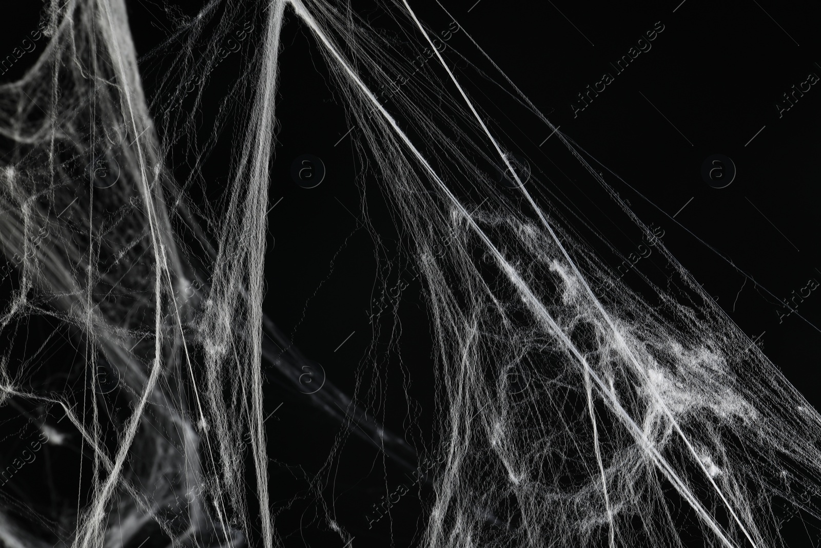 Photo of Creepy white cobweb on black background, closeup