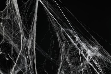 Creepy white cobweb on black background, closeup