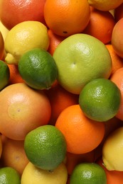 Different fresh citrus fruits as background, top view