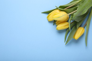 Photo of Beautiful yellow tulips on light blue background, flat lay. Space for text