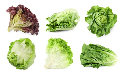 Image of Different types of lettuce isolated on white, collage design