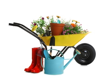 Photo of Wheelbarrow with flowers and gardening tools isolated on white