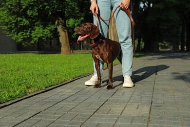 Photo of Woman with her German Shorthaired Pointer dog walking on city street, closeup