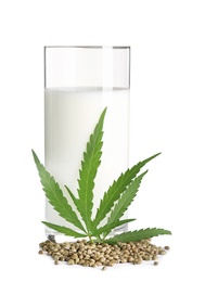 Glass with hemp milk on white background