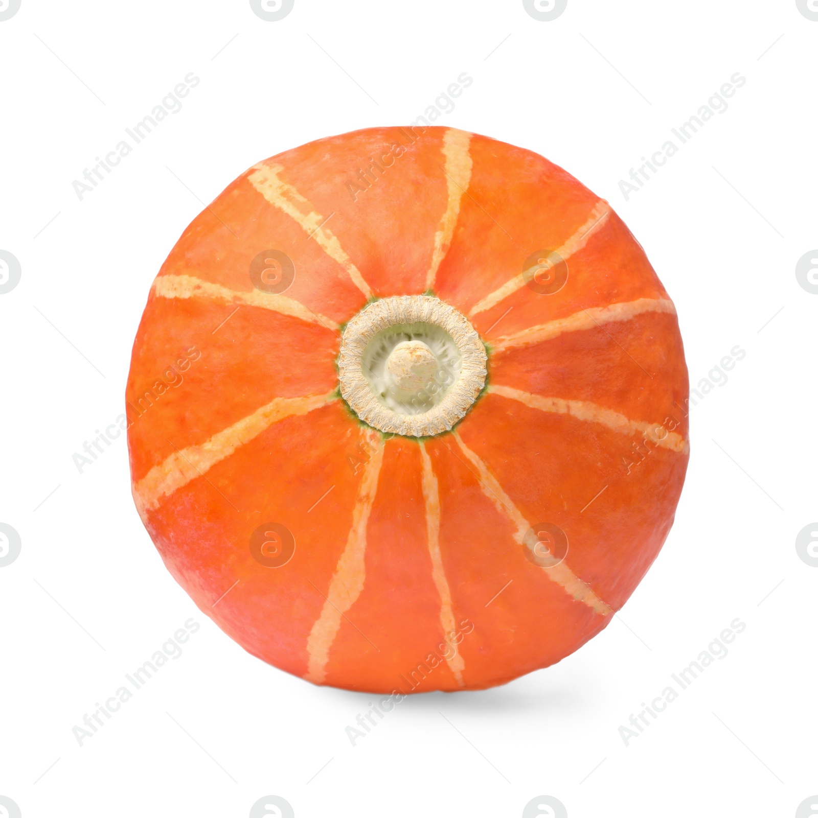 Photo of One whole ripe pumpkin isolated on white