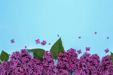 Photo of Beautiful lilac flowers and green leaves on light blue background, top view. Space for text