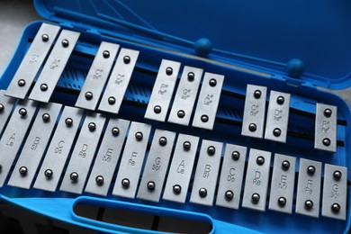 Photo of Closeup view of xylophone in light blue case