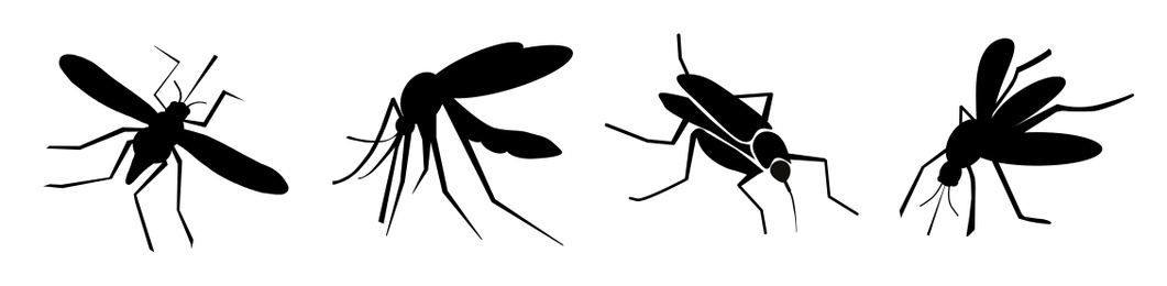 Image of Set of black mosquitoes on white background, banner design. Illustration