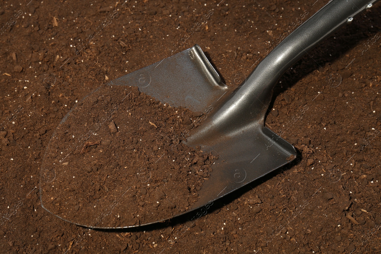Metal shovel on fertile soil. Gardening tool Photo of Metal shovel on fertile soil. Gardening tool