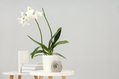 Blooming white orchid flower in pot, books and candle on nesting tables near grey wall indoors, space for text