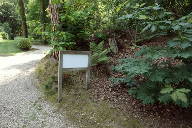 Beautiful plants and sign near pathway in forest
