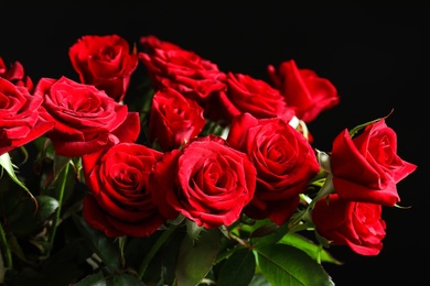 Photo of Beautiful red rose flowers on black background