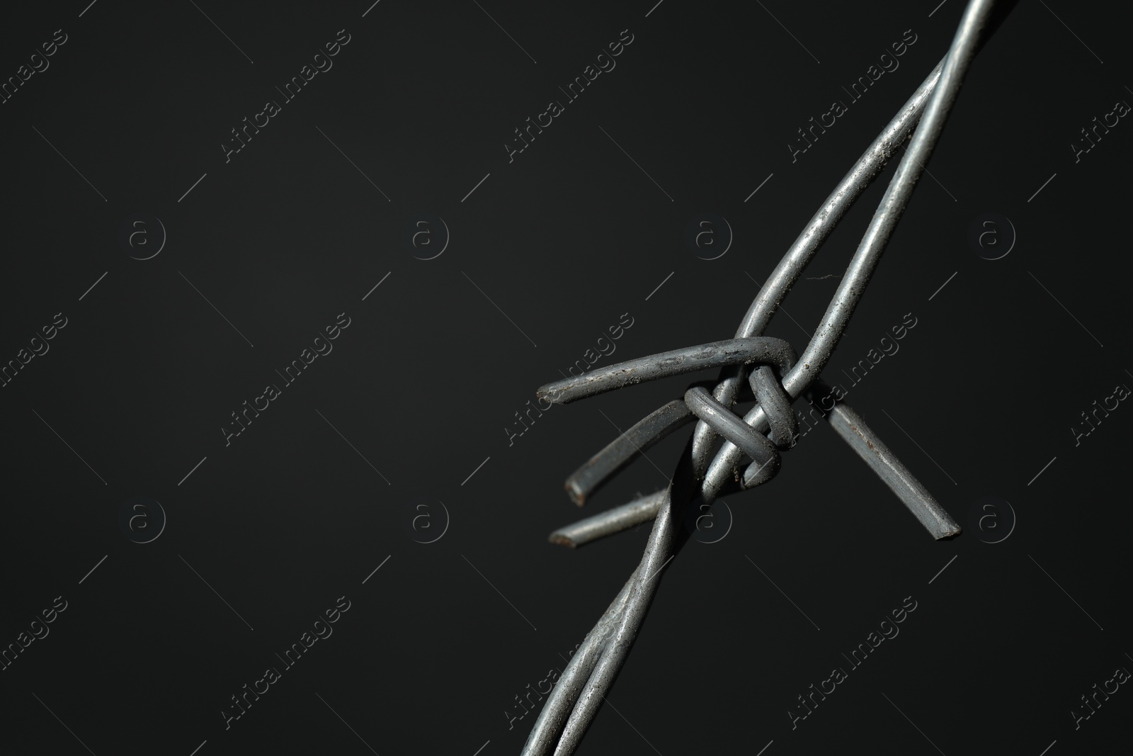 Photo of Metal barbed wire on dark grey background, closeup. Space for text