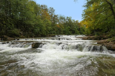 Picturesque view of beautiful river flowing near forest