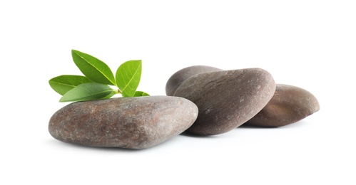 Spa stones with green branch isolated on white