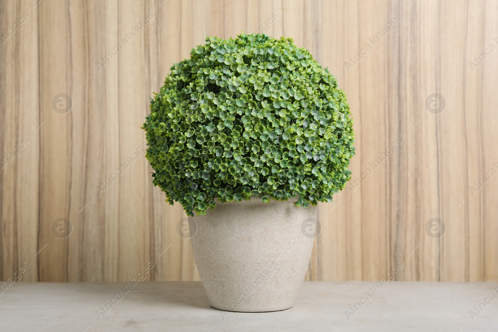 Photo of Artificial plant in flower pot on light grey stone table