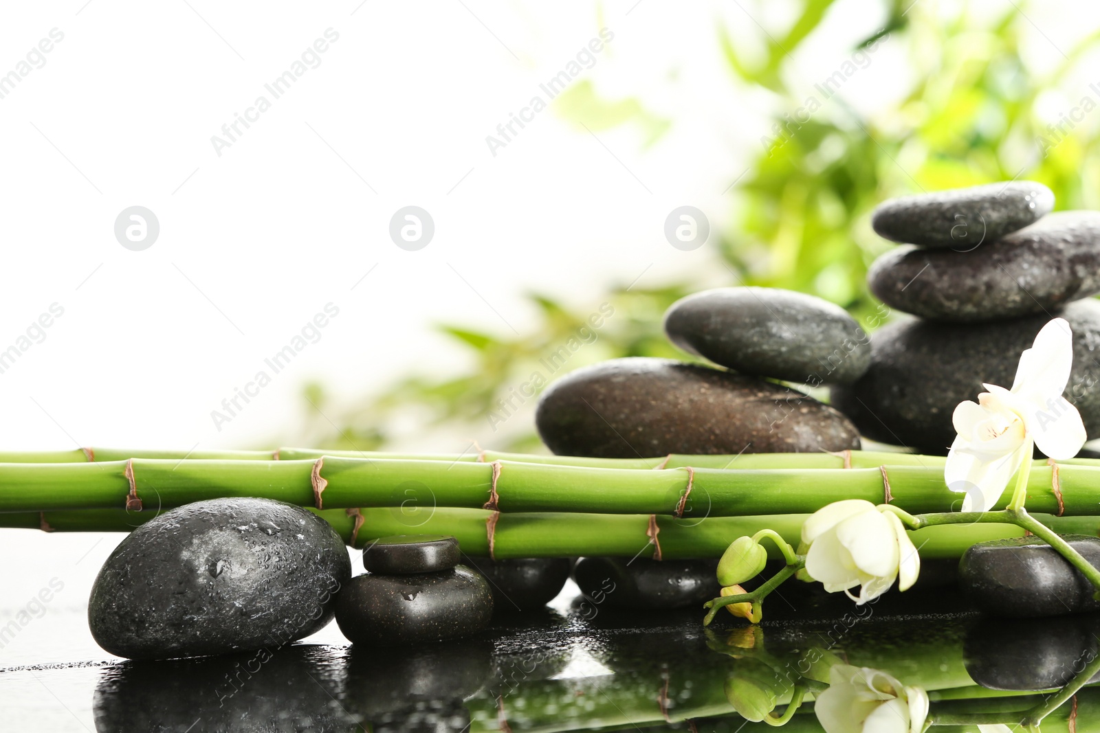 Photo of Bamboo branches with spa stones and orchid on table against blurred background. Space for text