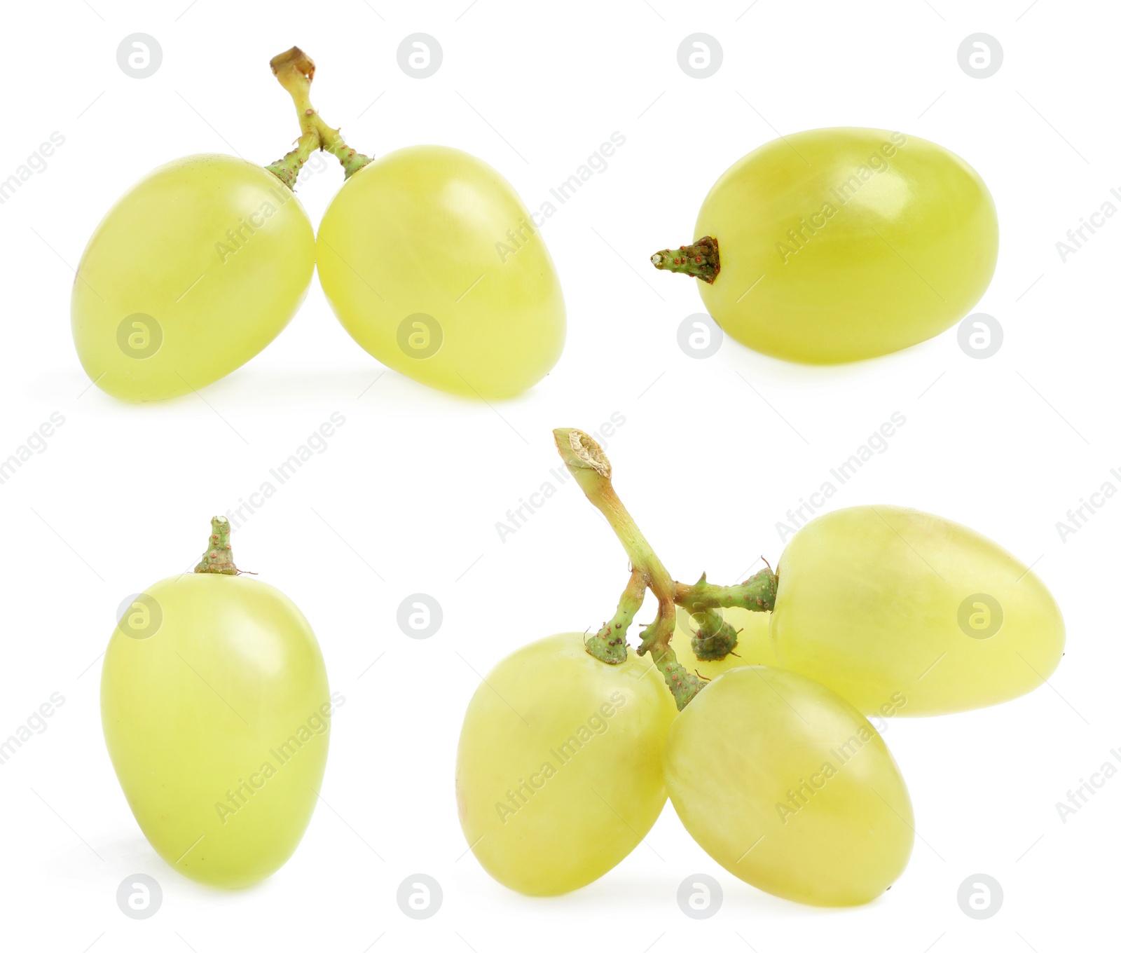 Image of Set of fresh grapes on white background