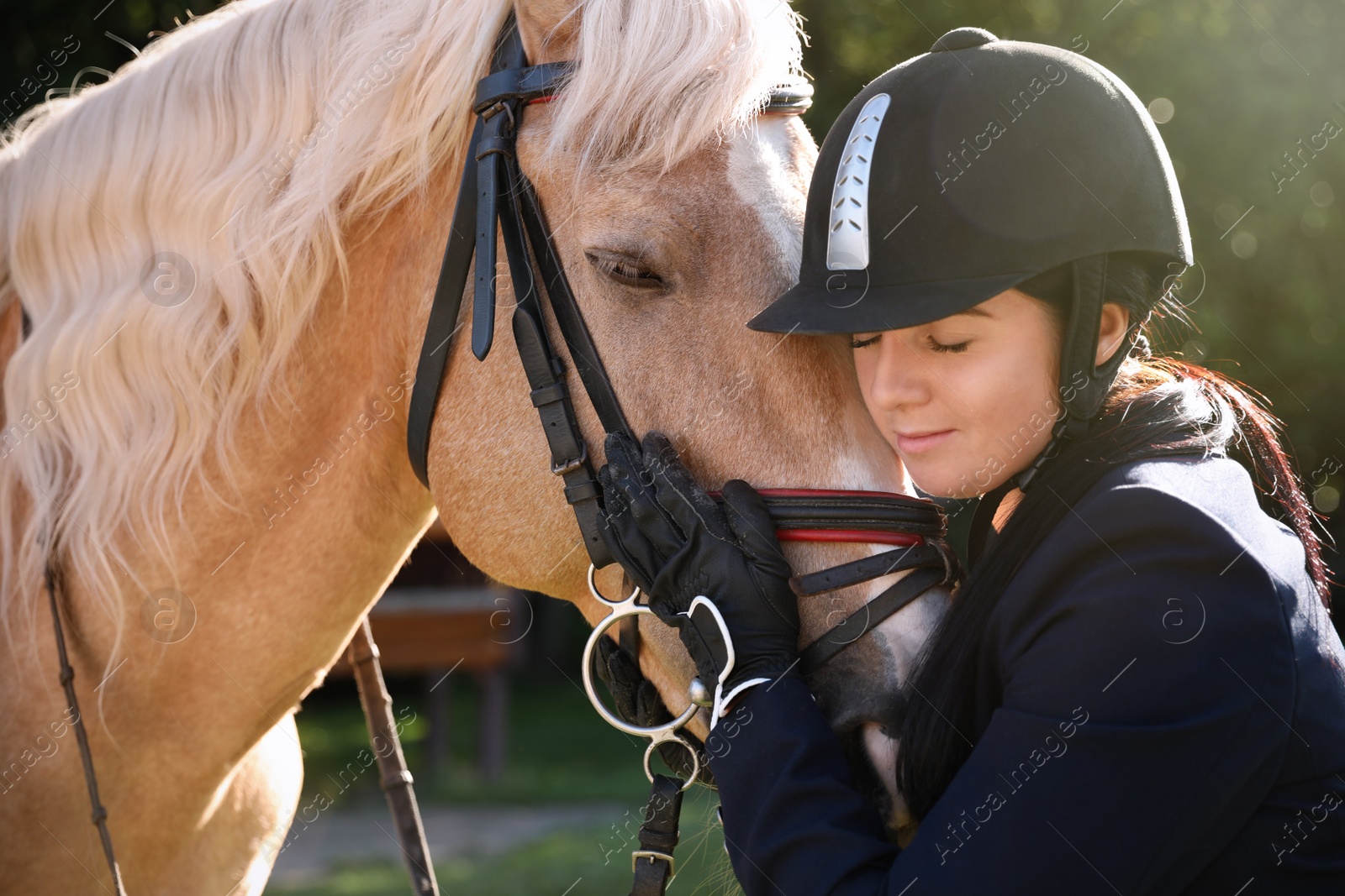 Photo of Young woman in horse riding suit and her beautiful pet outdoors on sunny day