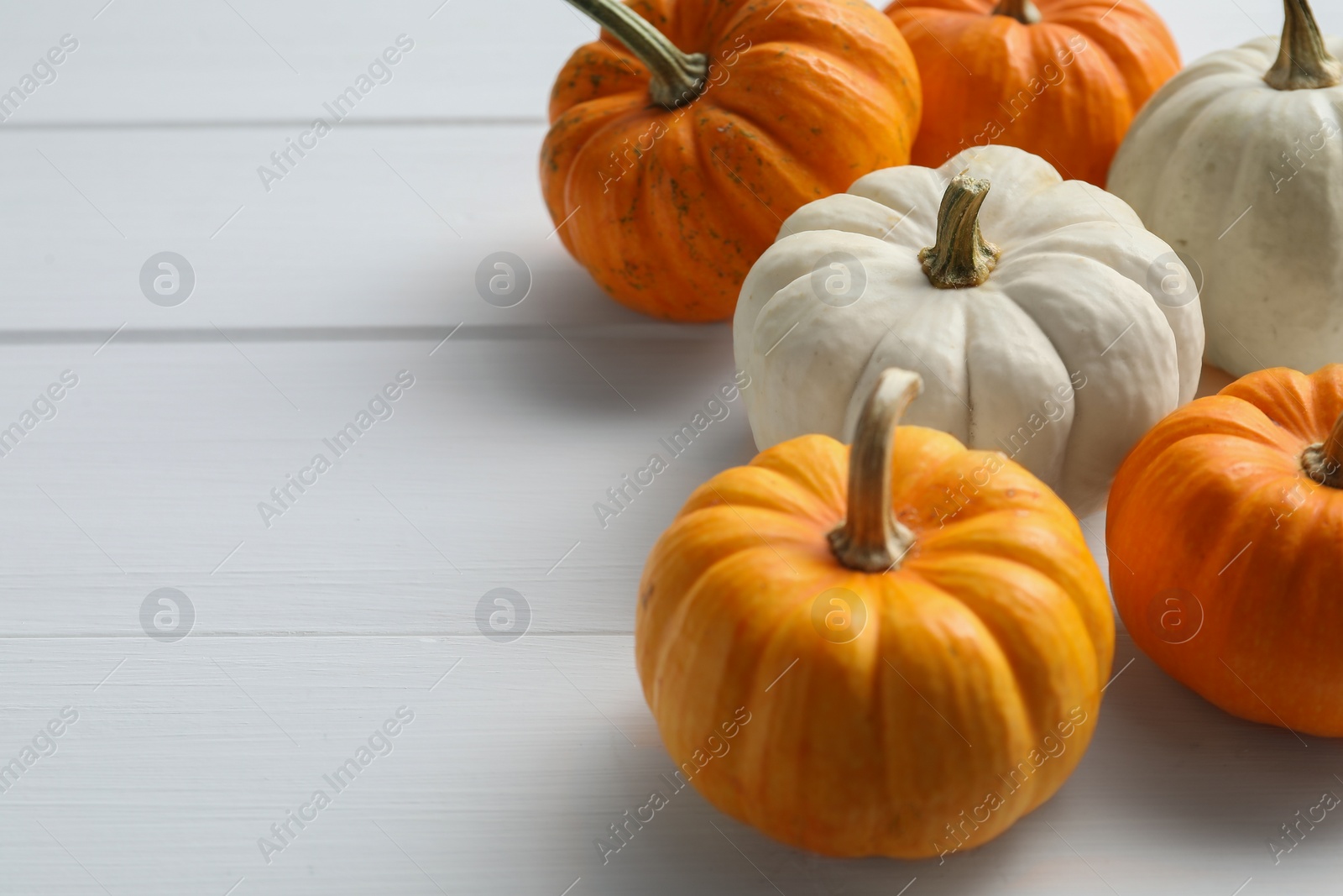 Photo of Thanksgiving day. Different pumpkins on white wooden table, closeup. Space for text